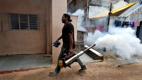 Trial with sterilised mosquito slashes dengue-spreading population by 80 percent