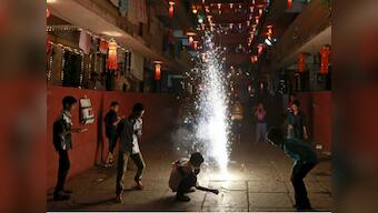 Celebrate Diwali this year with sensitivity towards animals, appeals NGO