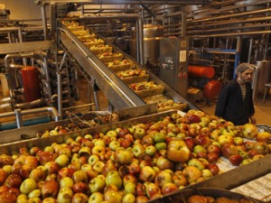 Harsimrat Kaur claims food processing already got $10 bn investment commitment, more expected Harsimrat Kaur claims food processing already got $10 bn investment commitment, more expected