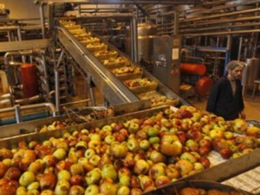 Harsimrat Kaur claims food processing already got $10 bn investment commitment, more expected