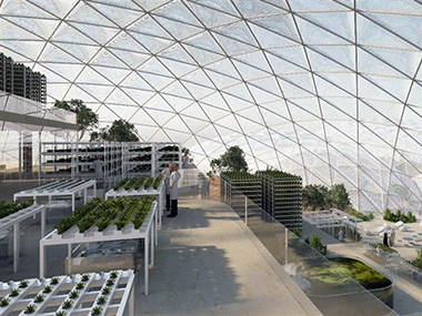 UAE launches Mars Science City project to inspire young minds and drive research UAE launches Mars Science City project to inspire young minds and drive research