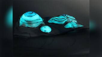 Cornell University Researchers develop programmable camouflaging material inspired by octopus skin