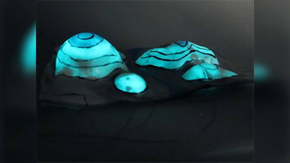 Cornell University Researchers develop programmable camouflaging material inspired by octopus skin