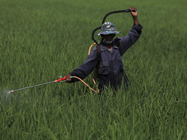 Centre for Science and Environment demands ban on toxic pesticides following death of Yavatmal farmers Centre for Science and Environment demands ban on toxic pesticides following death of Yavatmal farmers
