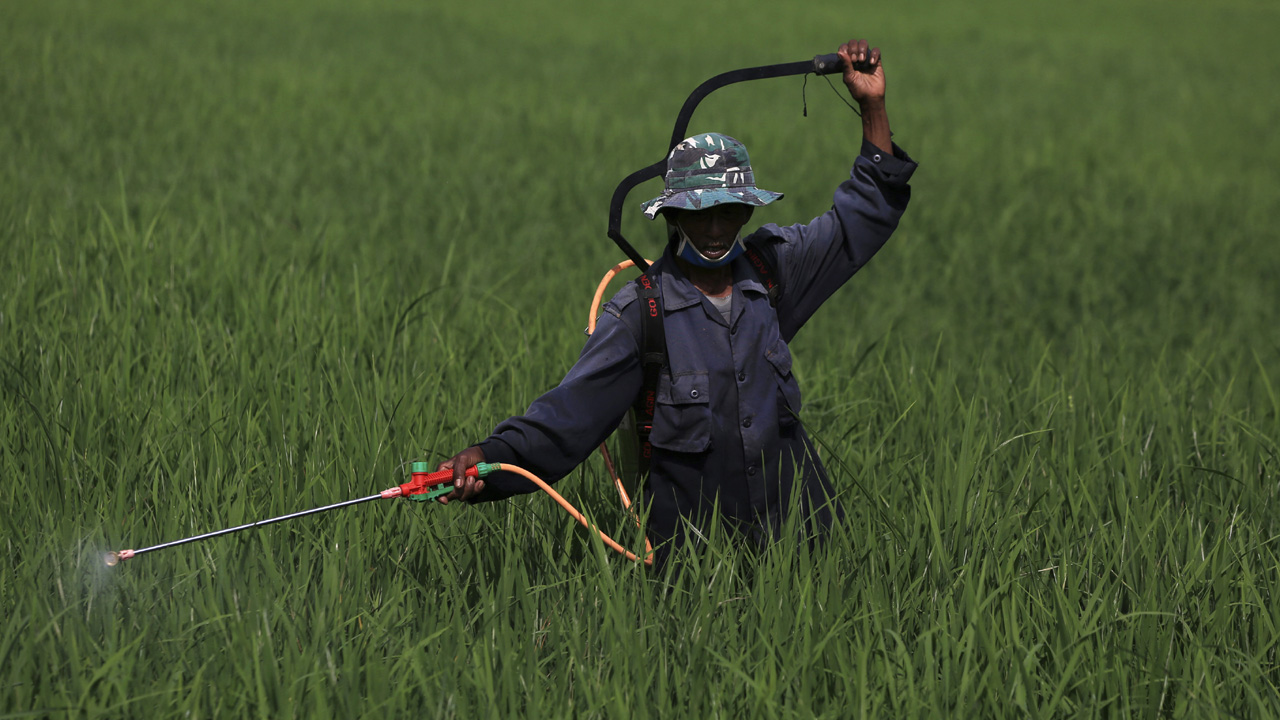 Monsanto owners insist weed killer is 'safe' after court orders $290 million payout Monsanto owners insist weed killer is 'safe' after court orders $290 million payout