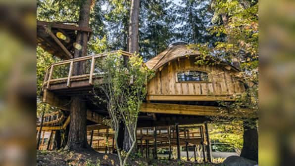 Microsoft is building treehouses in an effort to connect employees to nature and one another