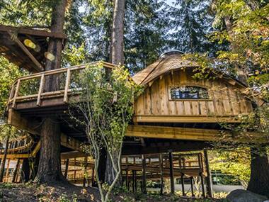 Microsoft is building treehouses in an effort to connect employees to nature and one another