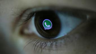 WhatsApp's new update to bring 'Mute chat' shortcut to Notification centre