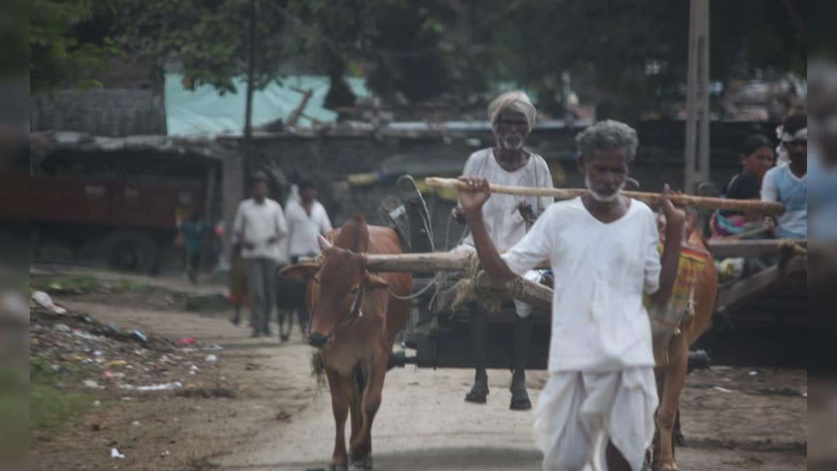 Yavatmal cotton farmer deaths Part 2: Educating farmers, controlled use of pesticides only way out, say activists