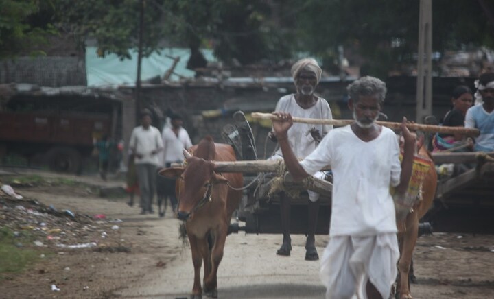 Yavatmal cotton farmer deaths Part 2: Educating farmers, controlled use of pesticides only way out, say activists