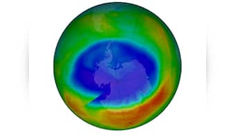 Hole in the Ozone layer over Antarctica is the smallest observed since 1988: NASA
