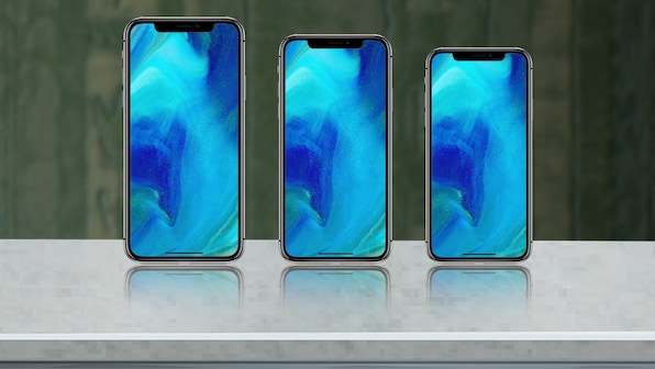 Apple to rely on the cheaper 6.1-inch LCD iPhone for majority of its sales this year