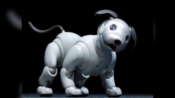 Sony brings back AI-powered robotic dog AIBO after more than a decade