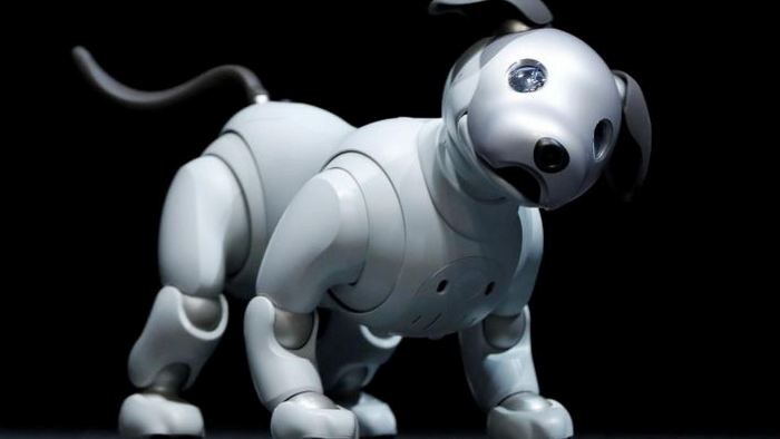 5 lakh robot dog