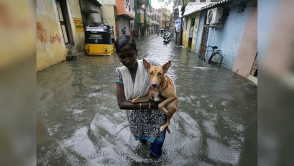 Chennai to get comprehensive flood warning system after several instances of urban flooding