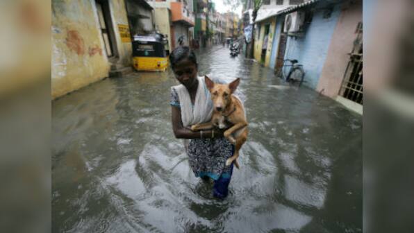 As heavy rains in Chennai kill 8, IMD says intensive rainfall pattern is likely to continue for next 3 days