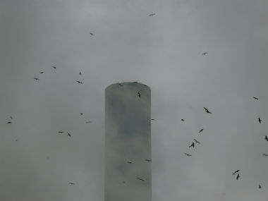 India has not caused climate change but is its victim: Suresh Prabhu India has not caused climate change but is its victim: Suresh Prabhu