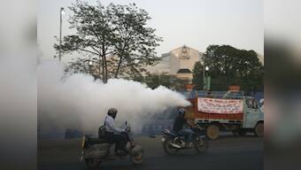 Calcutta HC directs West Bengal govt to file report on action taken to combat dengue menace