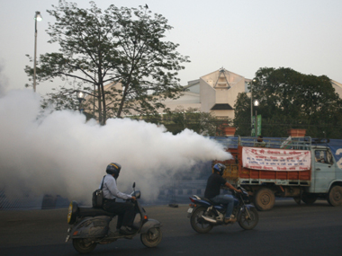 Calcutta HC directs West Bengal govt to file report on action taken to combat dengue menace Calcutta HC directs West Bengal govt to file report on action taken to combat dengue menace