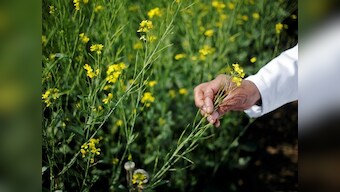 Scientist finds a new strains of soil bacteria that could be used to develop bio-pesticides in the future