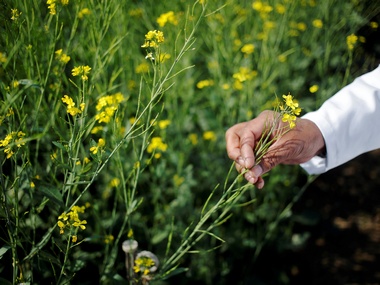 Budget 2018: Govt should create awareness about crop insurance to ease out farmers' distress Budget 2018: Govt should create awareness about crop insurance to ease out farmers' distress