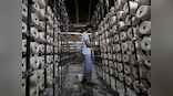 Apparel exporters seek Narendra Modi's intervention for stimulus package; say overseas buyers cancelling orders