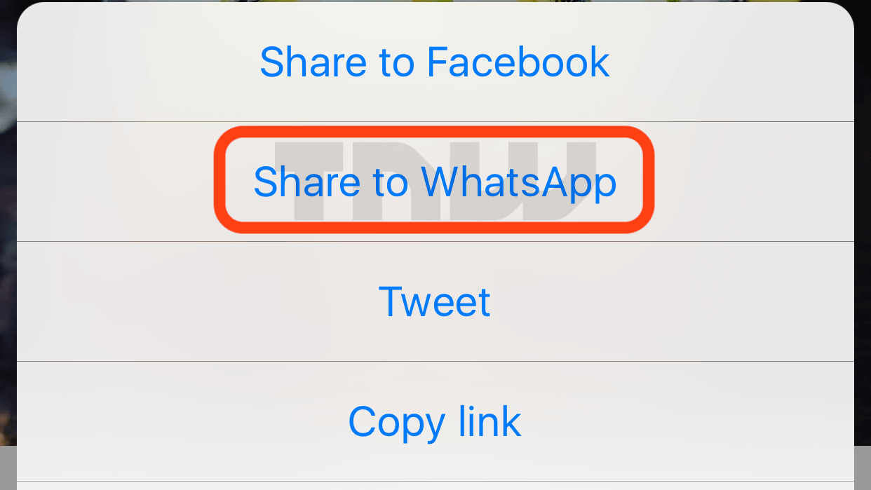 Instagram WhatsApp sharing option. The Next Web 