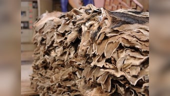 Adoption of new technologies developed by CLRI can help induce a makeover in the leather industry