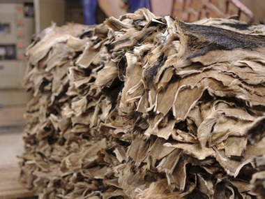 Leather industry players up in arms against export of semi-finished product; govt intervention sought Leather industry players up in arms against export of semi-finished product; govt intervention sought