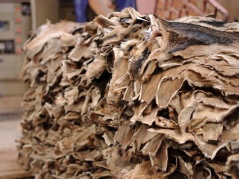 Budget 2020: Expecting support measures to push leather exports, says industry body Budget 2020: Expecting support measures to push leather exports, says industry body