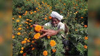 One year of demonetisation: For small farmers in Madhya Pradesh, joining cashless economy is a distant dream