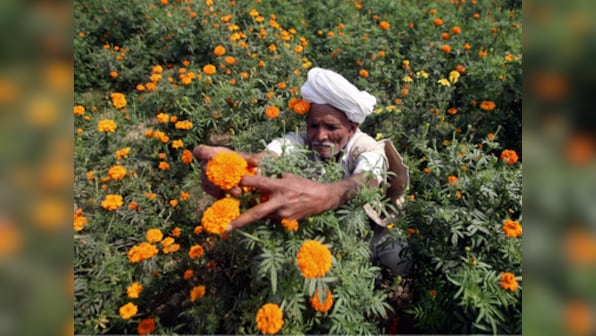 One year of demonetisation: For small farmers in Madhya Pradesh, joining cashless economy is a distant dream