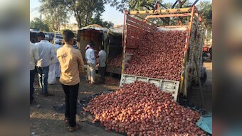Onion crisis: Govt allows exports of Krishnapuram variety of kitchen staple with certain conditions