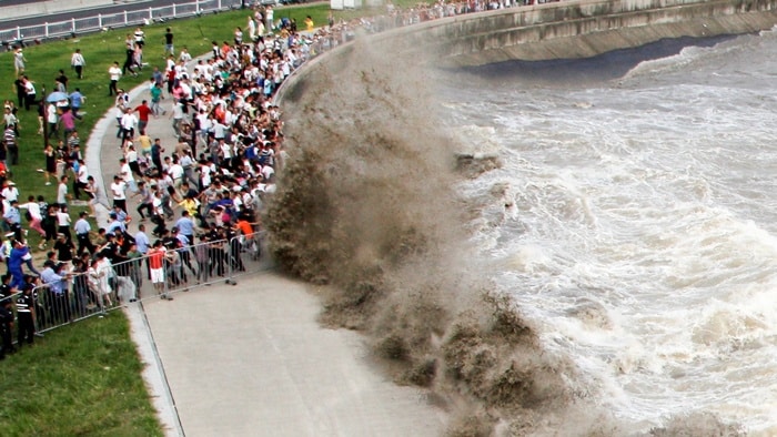 New tool will now tell Disaster management authorities how far tsunami