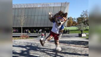 FIFA World Cup 2018: Russia hopes influx of fans from across the globe helps achieve economic goals