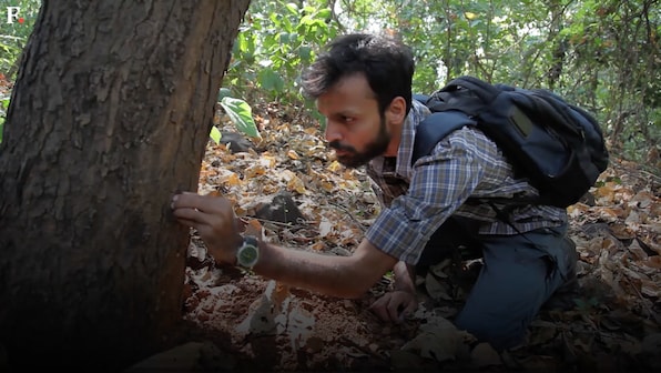 Meet Mumbai's "spiderman", a man who spends his afternoons looking for arachnids in Aarey Milk Colony