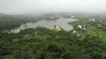 World Environment Day 2021: What is ecosytem restoration, and the various methods to achieve it