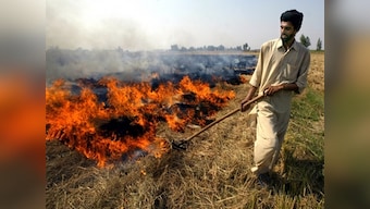 Amicus curiae submits Rs 2000-crore roadmap in SC to end stubble burning in Punjab, Haryana