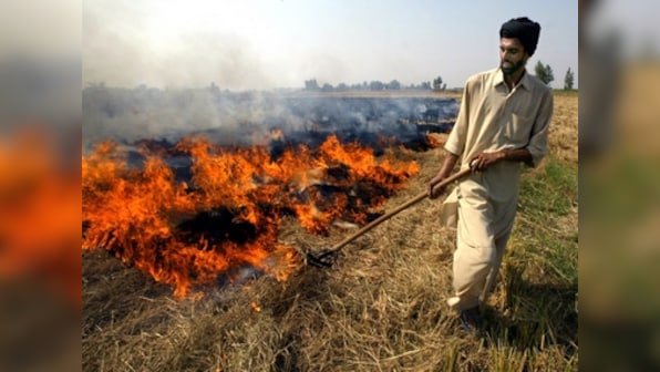 Amicus curiae submits Rs 2000-crore roadmap in SC to end stubble burning in Punjab, Haryana