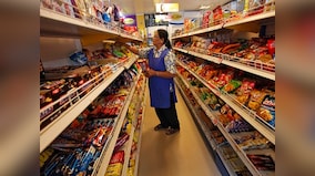 FMCG sector to expand at 9% in current year, growth to improve next year: CRISIL report