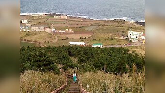 Mama Kitty's postcards from Jeju: Notes on budget travelling through South Korea
