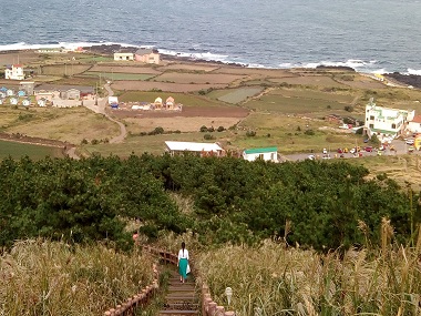 Mama Kitty's postcards from Jeju: Notes on budget travelling through South Korea Mama Kitty's postcards from Jeju: Notes on budget travelling through South Korea