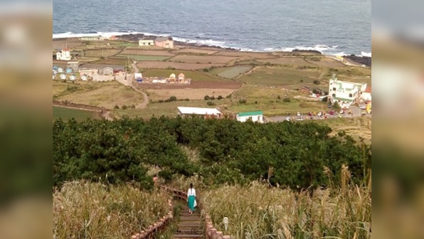 Mama Kitty's postcards from Jeju: Notes on budget travelling through South Korea