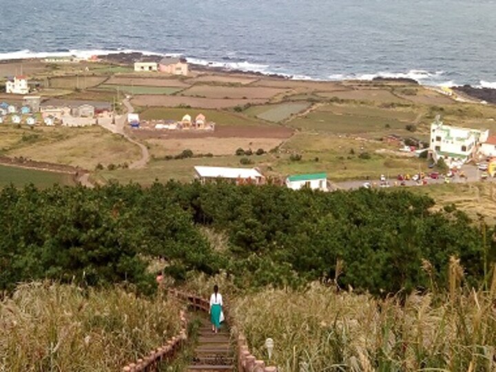Mama Kitty's postcards from Jeju: Notes on budget travelling through South Korea