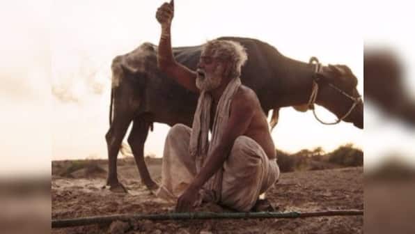 Kadvi Hawa offers bitter pill on environmental crisis, while exposing Bollywood's double standards