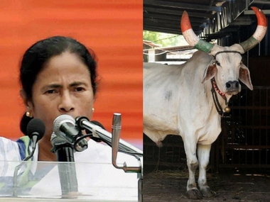 Mamata Banerjee govt to distribute cows to families ahead of West Bengal's 2018 panchayat election Mamata Banerjee govt to distribute cows to families ahead of West Bengal's 2018 panchayat election
