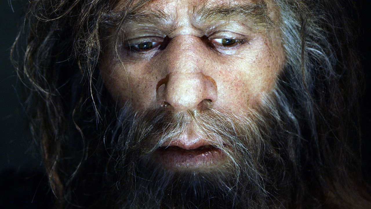 Laziness could be behind the extinction of the Homo Erectus species: Study Laziness could be behind the extinction of the Homo Erectus species: Study