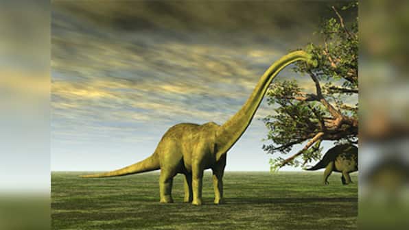 150 million years ago, a 35 metre long sauropod created the longest dinosaur tracks discovered
