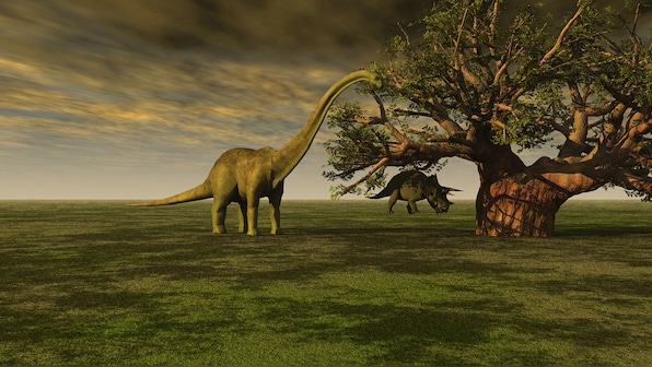 Remains of massive plant-eating lizard in Argentina likely the largest, oldest ever found