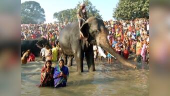 At the centuries-old Sonepur cattle fair, animals are no longer the main attraction